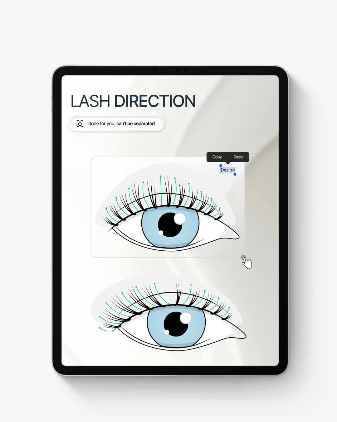 Lash Graphic Library 🔒 50% Pre Launch Price
