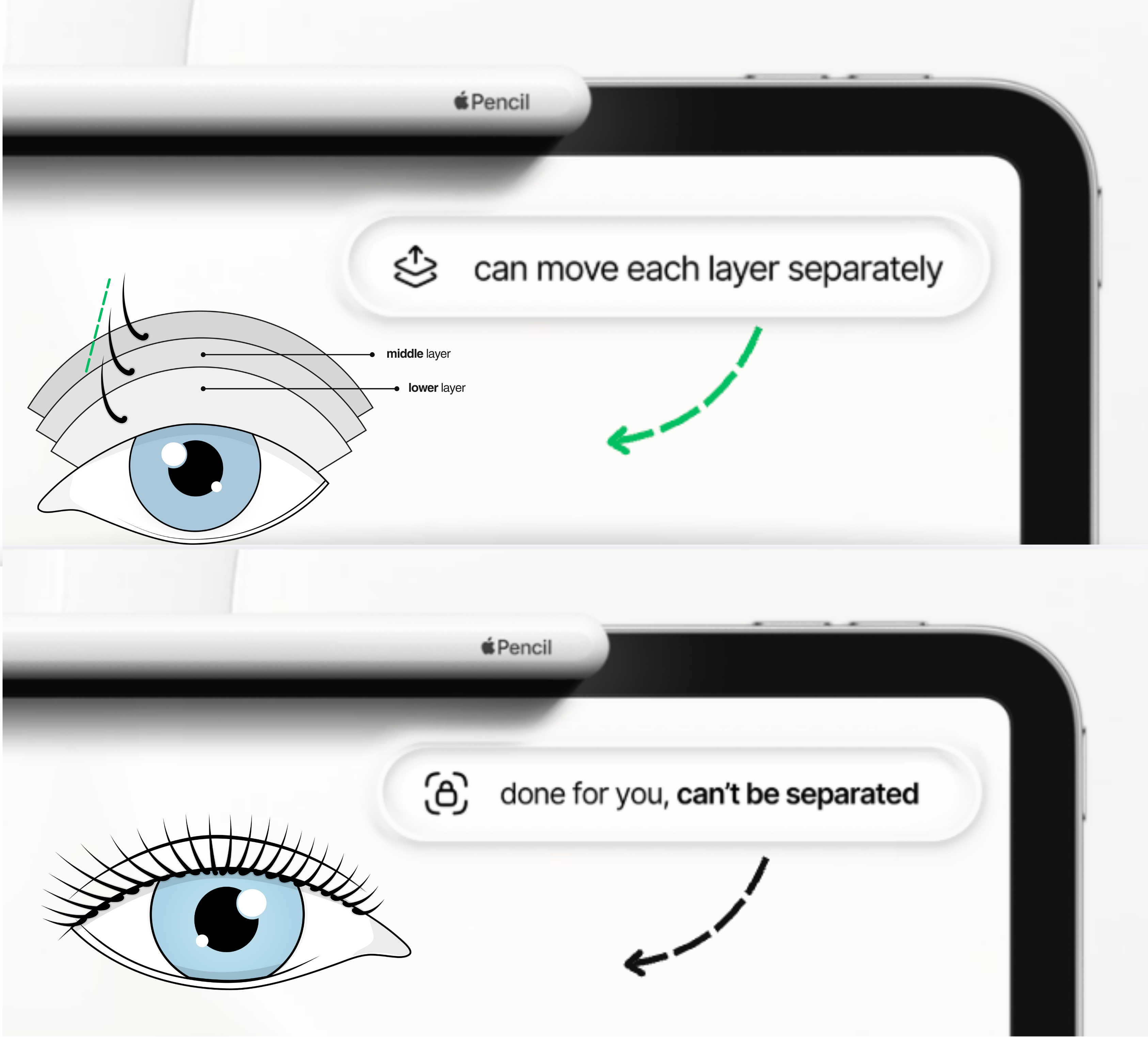 Lash Graphic Library 🔒 50% Pre Launch Price