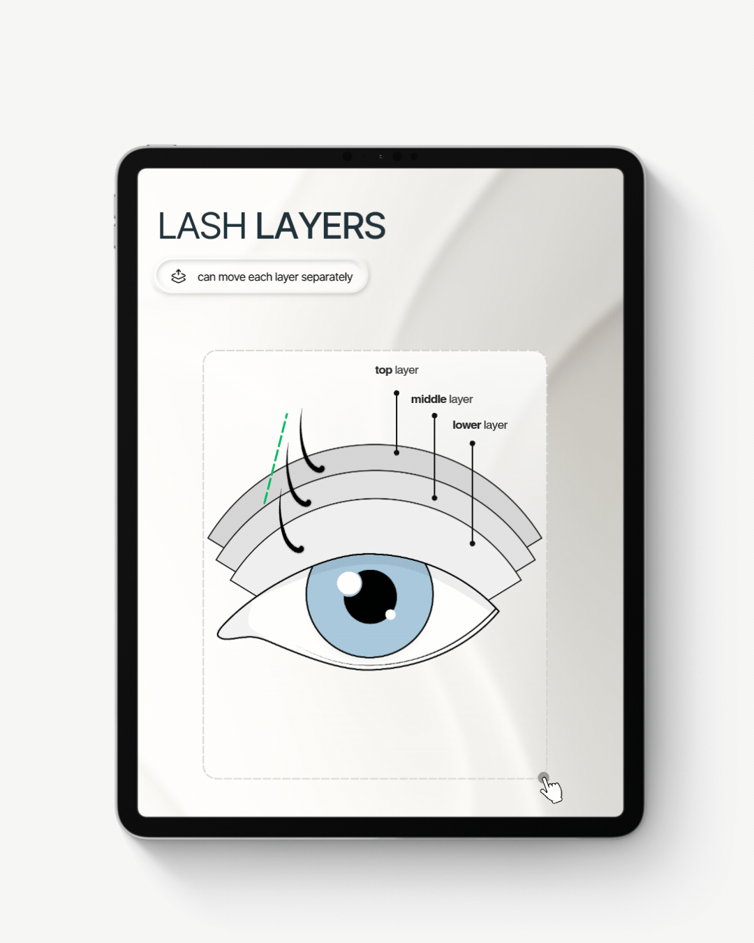 Lash Graphic Library 🔒 50% Pre Launch Price